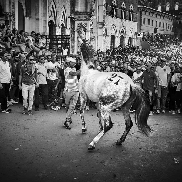 Il Palio